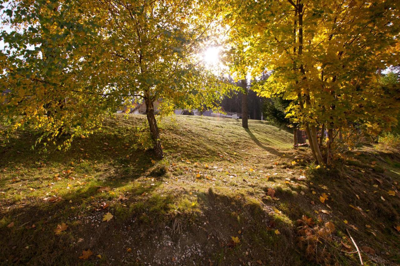 Lipno Club Villa Frymburk Dış mekan fotoğraf